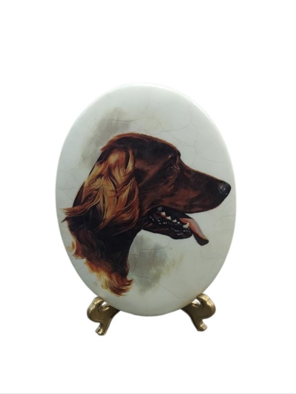 Vintage Hand Painted Irish Setter Oval Round Decor